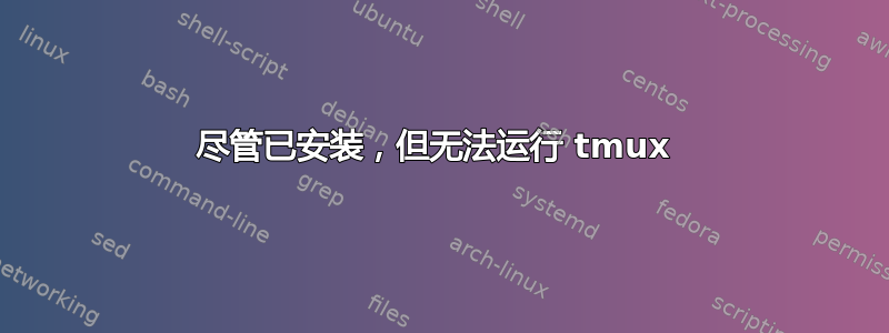 尽管已安装，但无法运行 tmux 