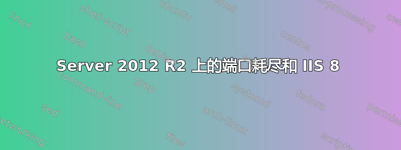 Server 2012 R2 上的端口耗尽和 IIS 8