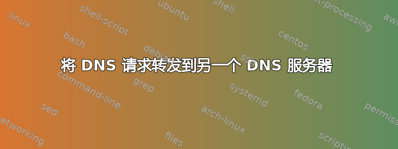 将 DNS 请求转发到另一个 DNS 服务器