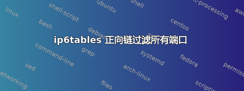 ip6tables 正向链过滤所有端口