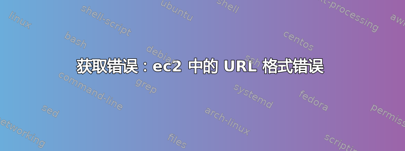 获取错误：ec2 中的 URL 格式错误