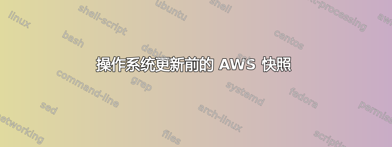 操作系统更新前的 AWS 快照