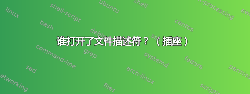 谁打开了文件描述符？ （插座）