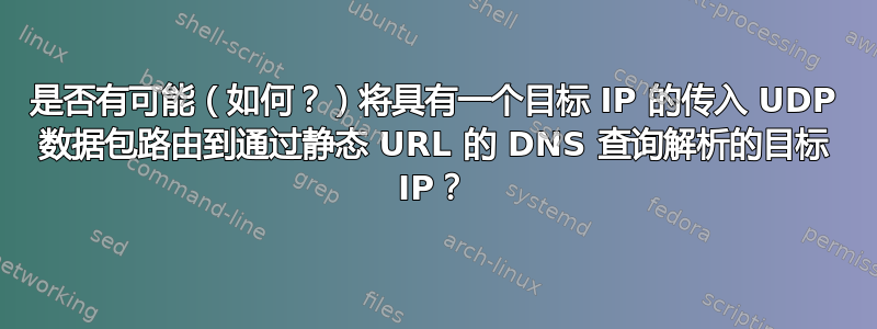 是否有可能（如何？）将具有一个目标 IP 的传入 UDP 数据包路由到通过静态 URL 的 DNS 查询解析的目标 IP？