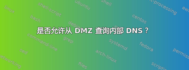 是否允许从 DMZ 查询内部 DNS？