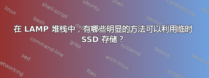 在 LAMP 堆栈中，有哪些明显的方法可以利用临时 SSD 存储？