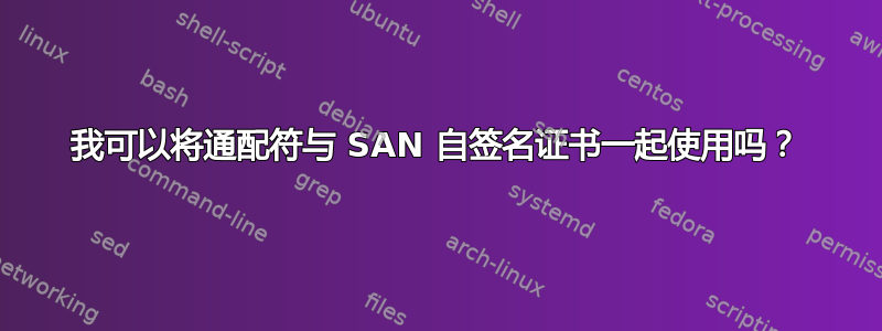 我可以将通配符与 SAN 自签名证书一起使用吗？