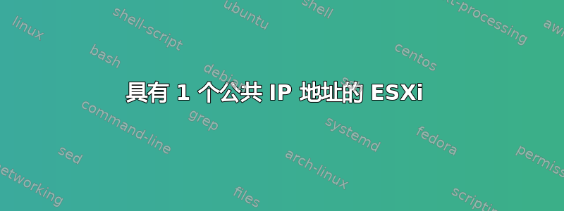 具有 1 个公共 IP 地址的 ESXi 