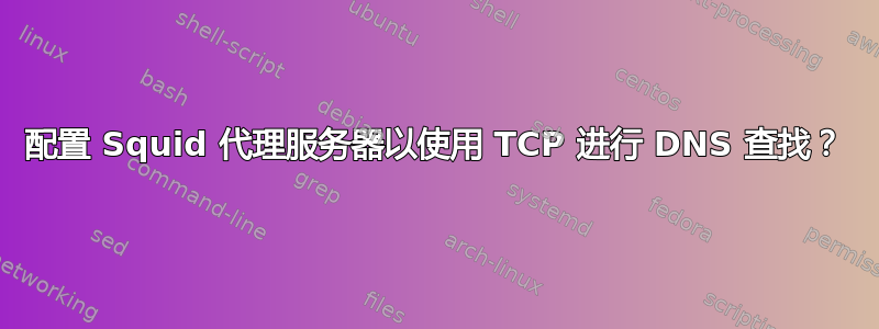 配置 Squid 代理服务器以使用 TCP 进行 DNS 查找？