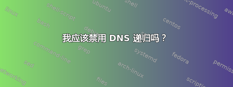 我应该禁用 DNS 递归吗？