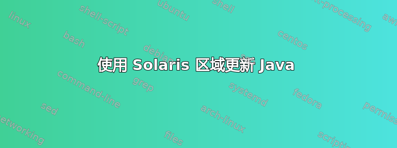 使用 Solaris 区域更新 Java