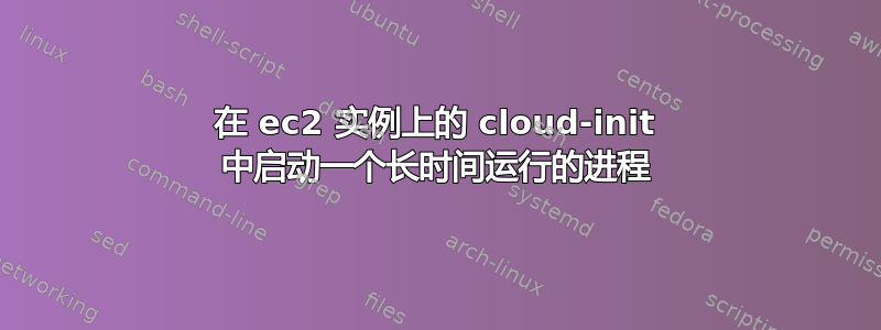 在 ec2 实例上的 cloud-init 中启动一个长时间运行的进程