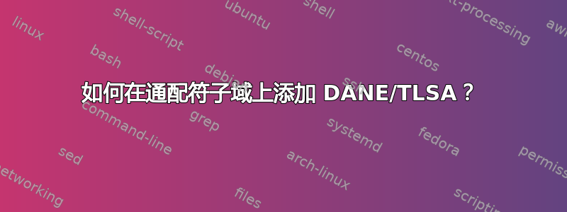 如何在通配符子域上添加 DANE/TLSA？