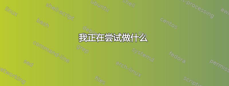 我正在尝试做什么