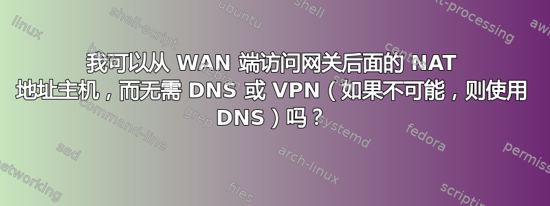 我可以从 WAN 端访问网关后面的 NAT 地址主机，而无需 DNS 或 VPN（如果不可能，则使用 DNS）吗？