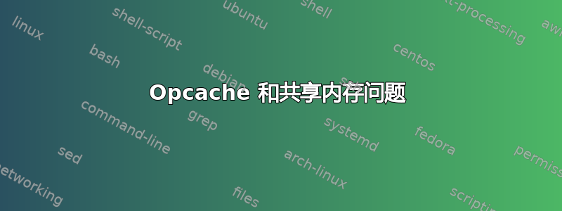 Opcache 和共享内存问题