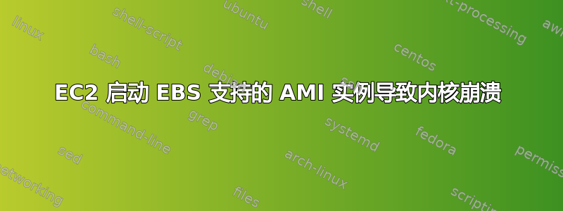 EC2 启动 EBS 支持的 AMI 实例导致内核崩溃