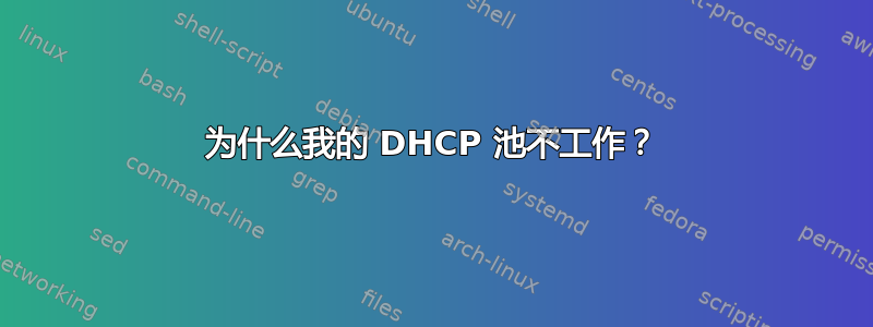 为什么我的 DHCP 池不工作？