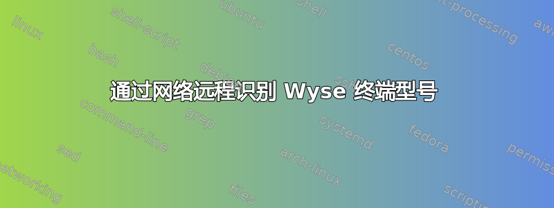 通过网络远程识别 Wyse 终端型号