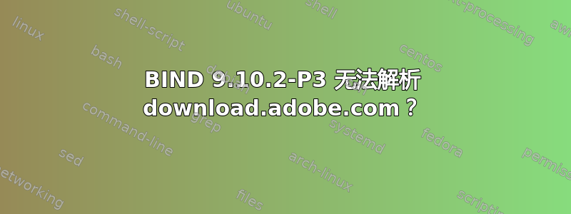 BIND 9.10.2-P3 无法解析 download.adobe.com？