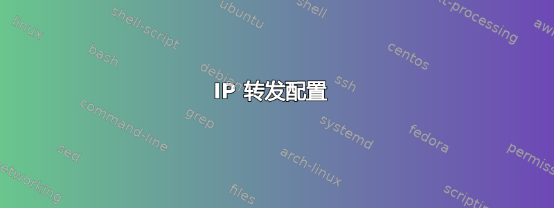 IP 转发配置 