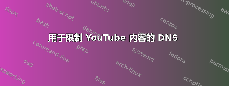 用于限制 YouTube 内容的 DNS