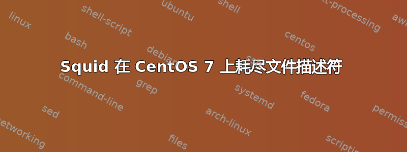 Squid 在 CentOS 7 上耗尽文件描述符