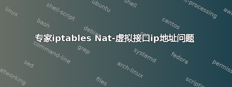 专家iptables Nat-虚拟接口ip地址问题