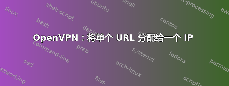 OpenVPN：将单个 URL 分配给一个 IP