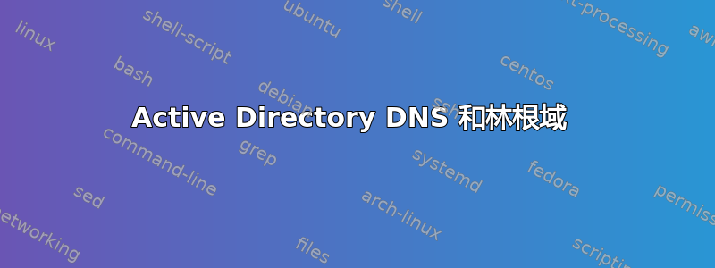 Active Directory DNS 和林根域 