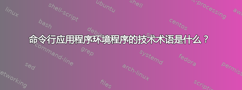 命令行应用程序环境程序的技术术语是什么？