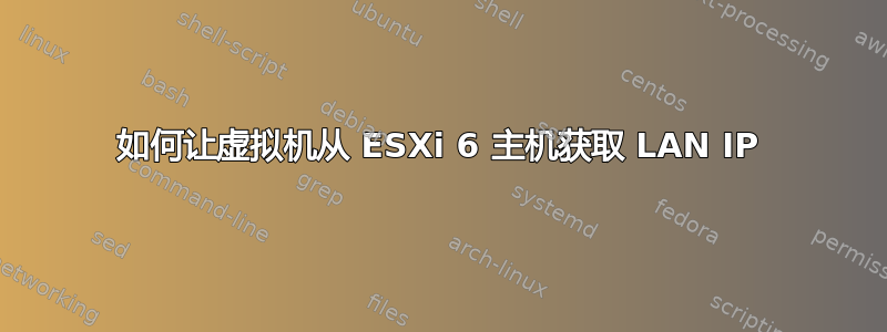 如何让虚拟机从 ESXi 6 主机获取 LAN IP