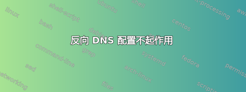 反向 DNS 配置不起作用