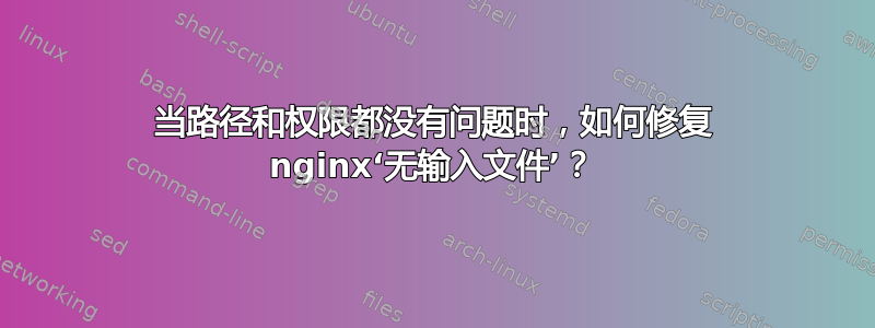 当路径和权限都没有问题时，如何修复 nginx‘无输入文件’？