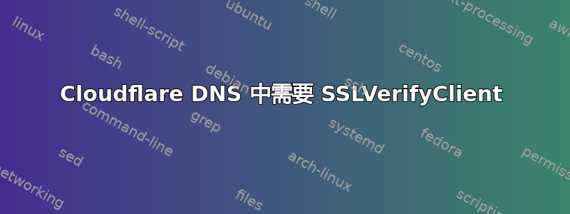 Cloudflare DNS 中需要 SSLVerifyClient