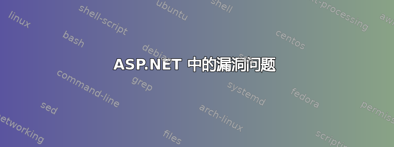 ASP.NET 中的漏洞问题