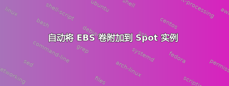 自动将 EBS 卷附加到 Spot 实例