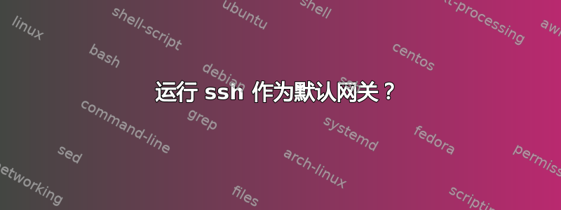 运行 ssh 作为默认网关？