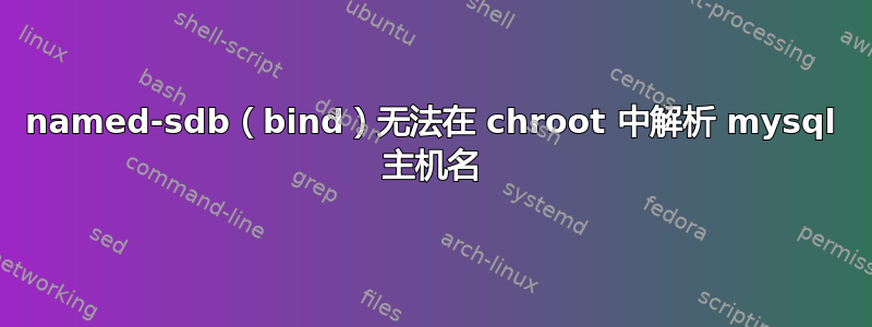 named-sdb（bind）无法在 chroot 中解析 mysql 主机名