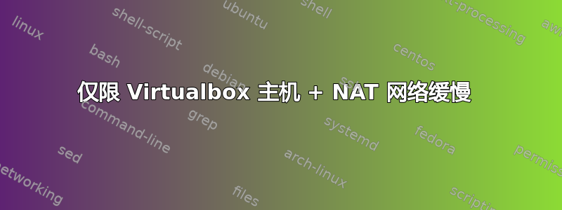 仅限 Virtualbox 主机 + NAT 网络缓慢 