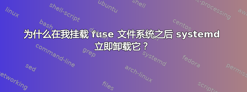 为什么在我挂载 fuse 文件系统之后 systemd 立即卸载它？