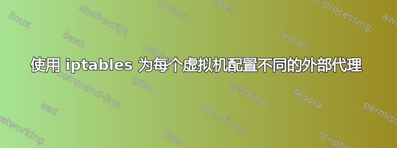 使用 iptables 为每个虚拟机配置不同的外部代理