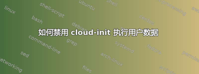 如何禁用 cloud-init 执行用户数据