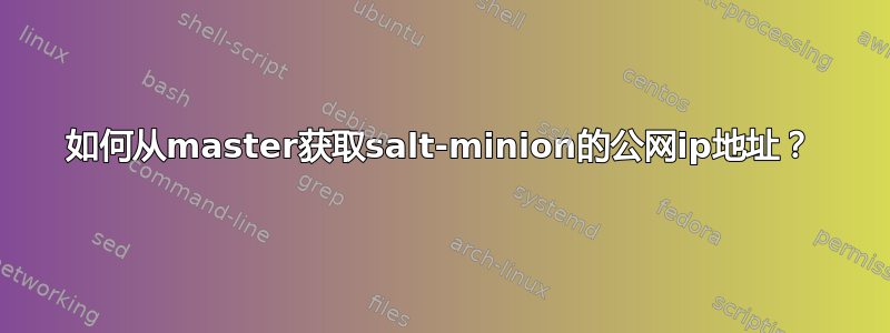 如何从master获取salt-minion的公网ip地址？