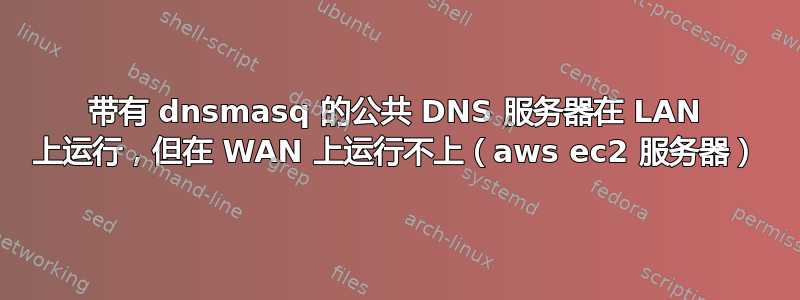 带有 dnsmasq 的公共 DNS 服务器在 LAN 上运行，但在 WAN 上运行不上（aws ec2 服务器）