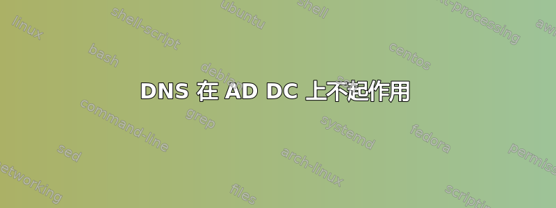 DNS 在 AD DC 上不起作用