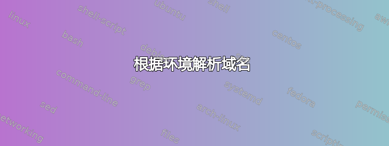 根据环境解析域名