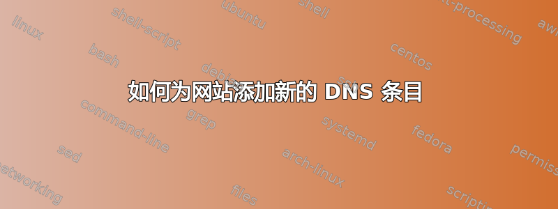 如何为网站添加新的 DNS 条目