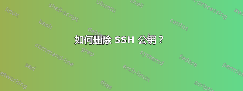 如何删除 SSH 公钥？