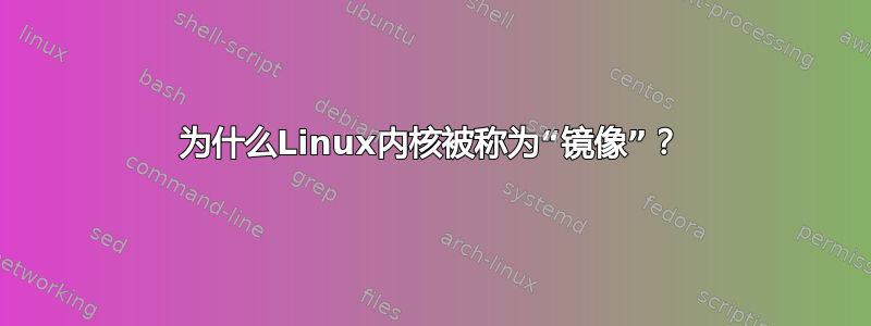 为什么Linux内核被称为“镜像”？